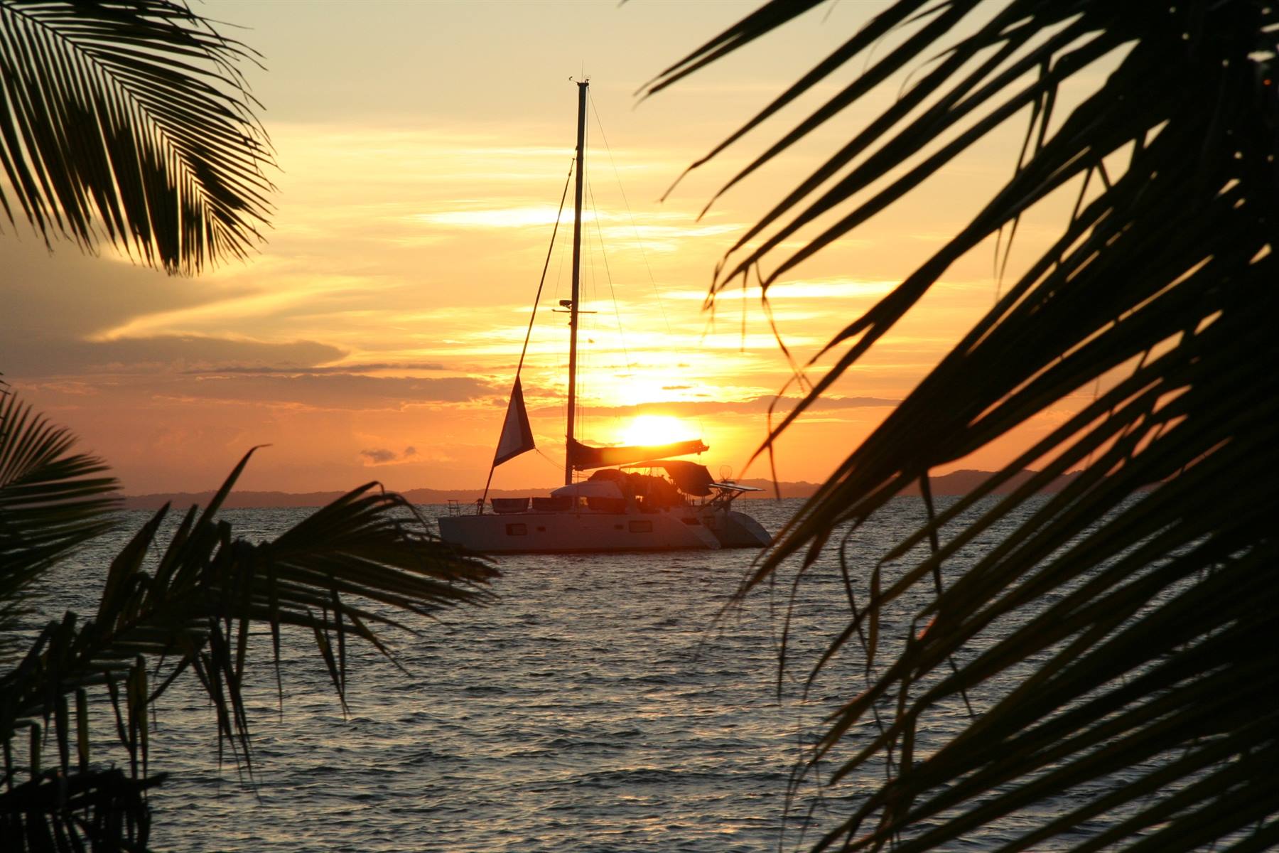 Catamarano ancorato in mare tra palme, sole dorato che scende all'orizzonte