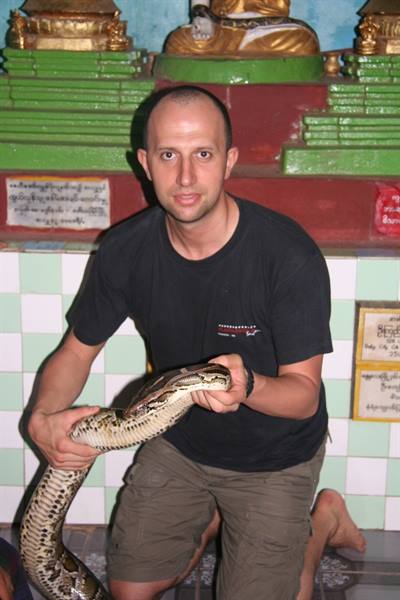 Man in black shirt holding a large python inside a temple with golden Buddha
