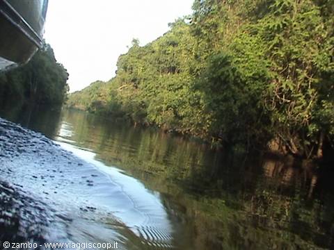 River exploration