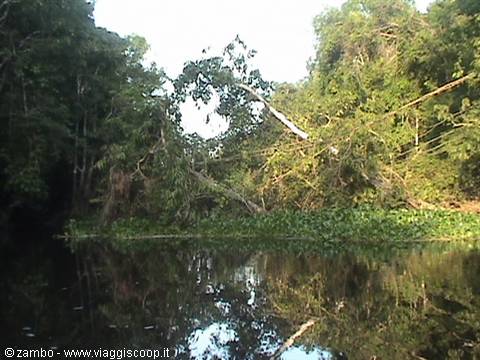 Along the river