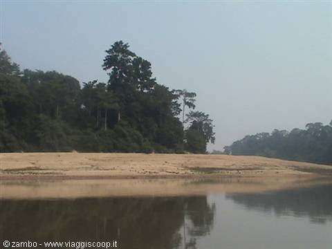 Towards Taman Negara