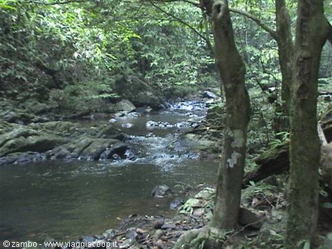 Towards the waterfalls