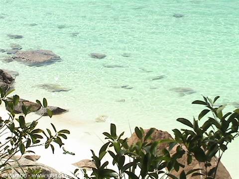 Clear turquoise water with granite rocks and green branches above the beach