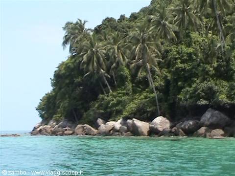 Palms and granite boulders on the coast, turquoise water in front