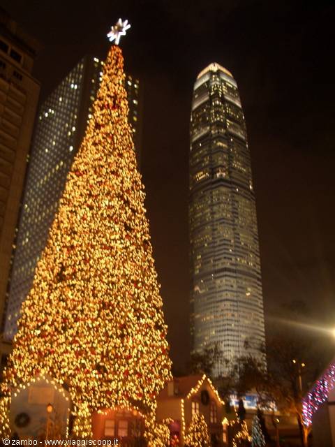 Glowing Christmas tree in front of Hong Kong skyscrapers at night