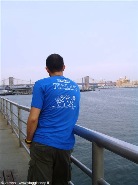 Guy in blue shirt looking at Brooklyn Bridge across the East River