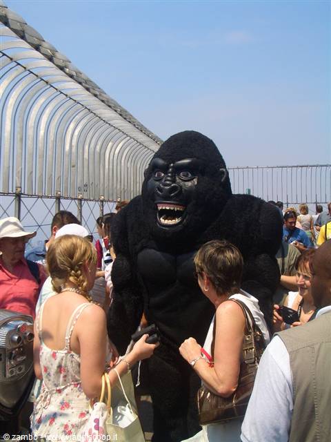 King Kong