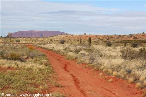 On the horizon...Ayers Rock