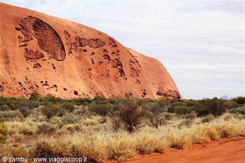 Eroded red rock wall of Uluru rising over dry shrubs and sand
