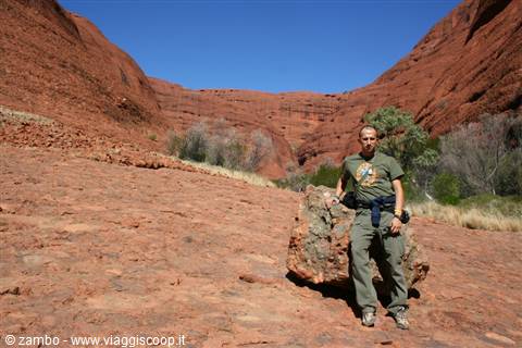 Tourist leaning on a boulder among the red walls of Kings Canyon