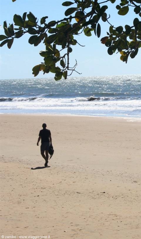 Man walks on sand carrying clothes, green branch above, ocean waves rolling
