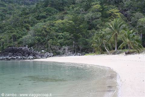 Hook Island