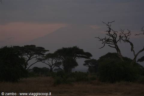 Kilimanjaro, a rare glimpse at dawn