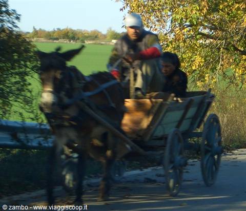 Man and woman on a wooden cart pulled by a donkey along the road