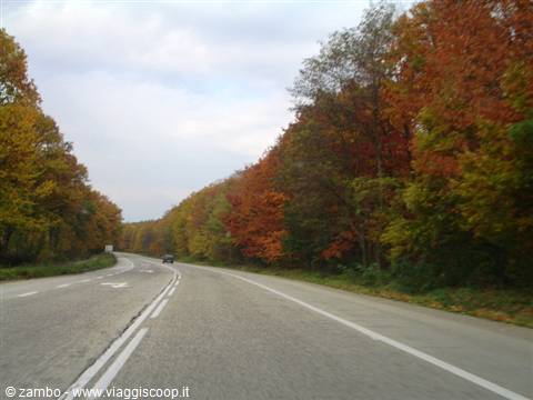 The colors of autumn