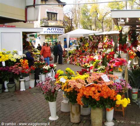 Back in Sofia...the flower market