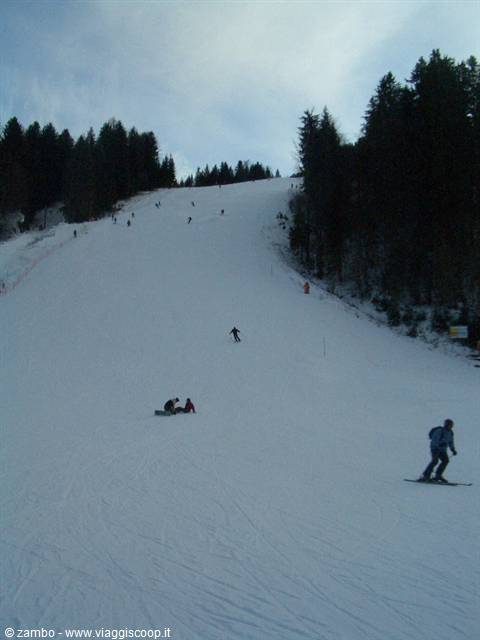 Skiers and snowboarders on a snowy slope among firs, evening light