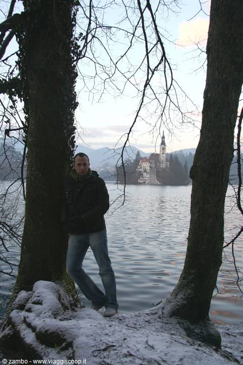 Man leaning on a snowy tree, Bled island church in the lake behind