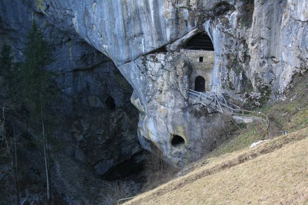 Wooden stairs climb to ancient structure carved in limestone rock, Predjama