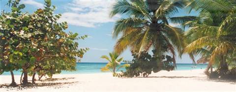 Saona beach