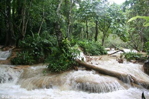 Waterfalls cascading over limestone rocks in tropical jungle, fallen log, soft light