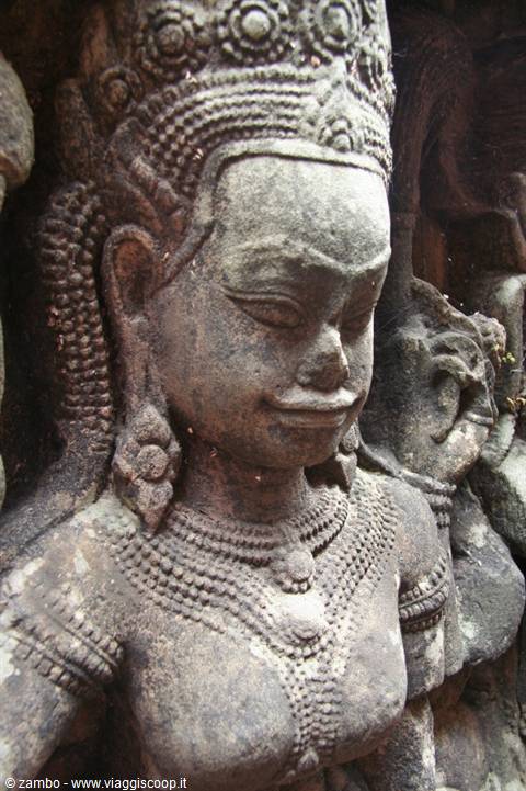 Terrace of the elephants