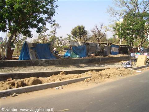 Makeshift shacks with blue tarps along a dusty roadside among trees and roadworks