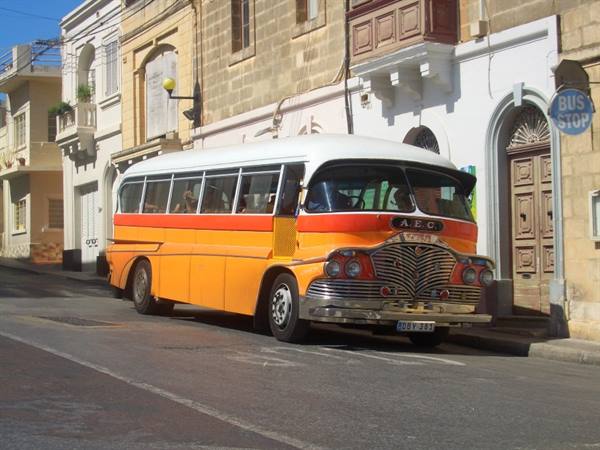 BUS