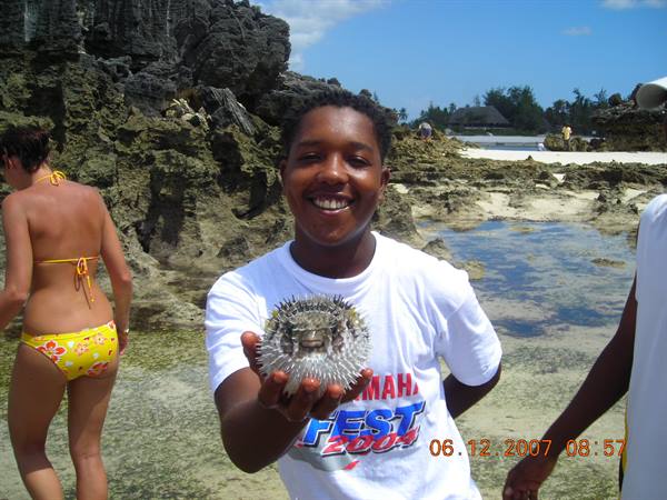 DIDA AND THE PUFFER FISH