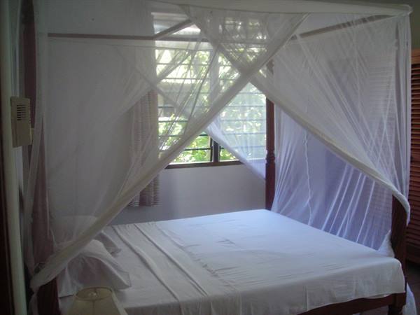 Four-poster bed with white mosquito net, daylight through window
