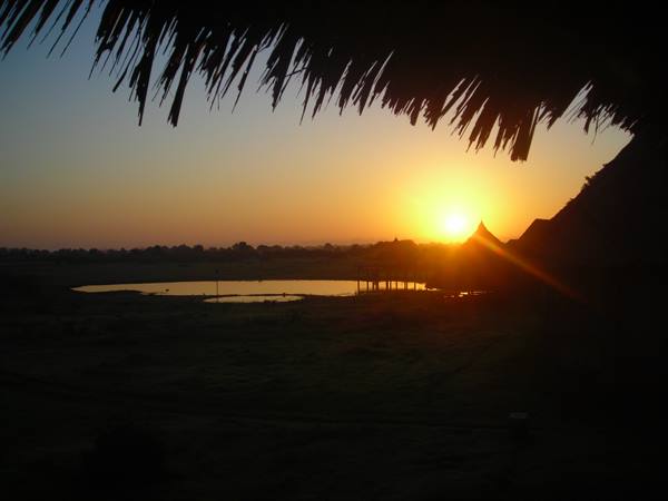 Low sun over a waterhole, thatched roofs in silhouette, palm fronds overhead