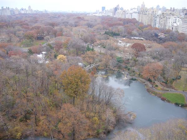Central Park: pond with stone bridge among autumn trees and skyscrapers