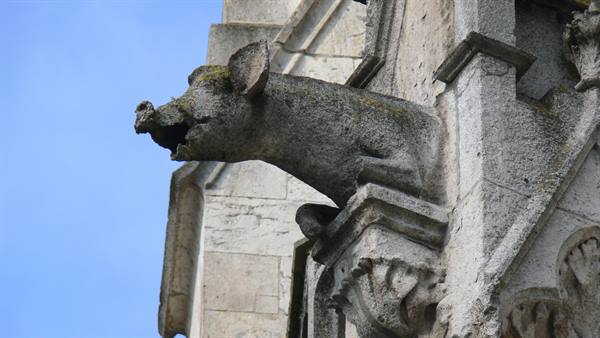 Cathedral guardian