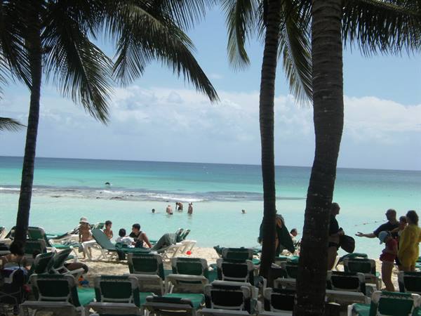 Tourists on green sunbeds under palm trees, turquoise Caribbean beach