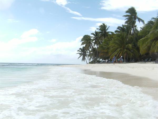 Foamy wave on white sand, tourists walk among sunlit palm trees