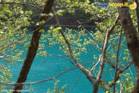 poetry in the lake spring leaves