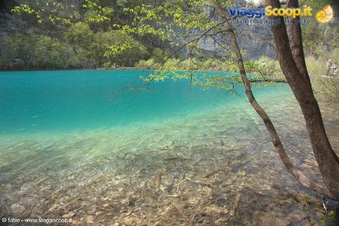 kaluderovac jezero fantastic transparency and fish