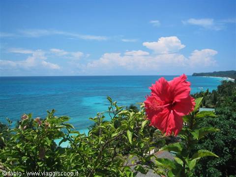 the island