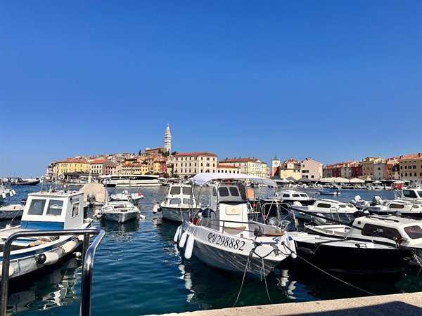 The port of Rovinj in the sun, bell tower on the horizon: pure wonder.