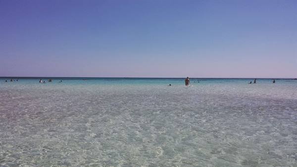 Crystal-clear, endless waters: a dive into the wonder of this day.