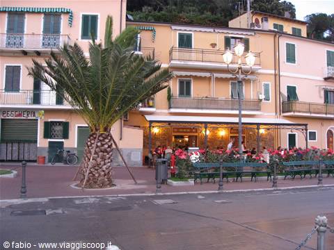 Palm tree in front of yellow buildings with green shutters and lit café