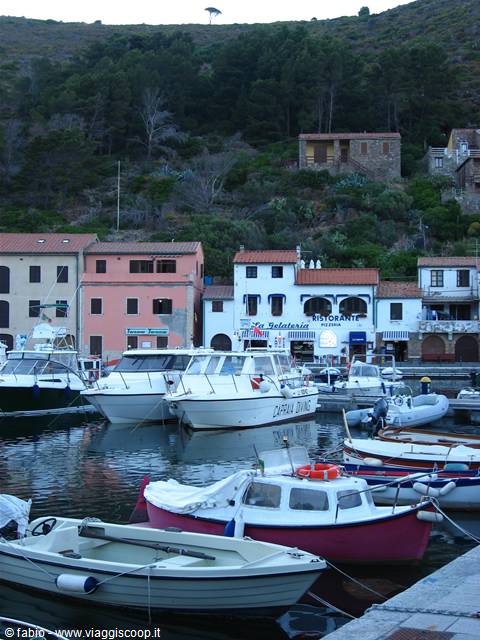 the harbour