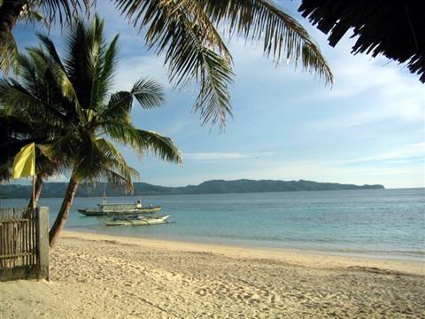 Palm tree and outrigger boats on white sand, turquoise sea, distant hills