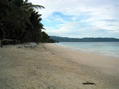 Pale sandy beach with palms and mountain on horizon, cloudy sky