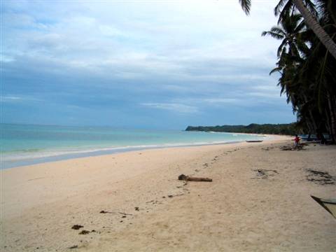 Pale sandy beach with palm trees and a person walking, cloudy sky