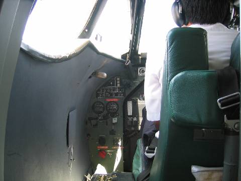 broken plane altimeter ;-))) bye tree