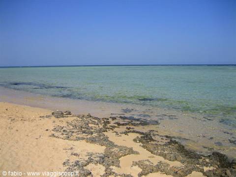 the red sea of marsa alam 