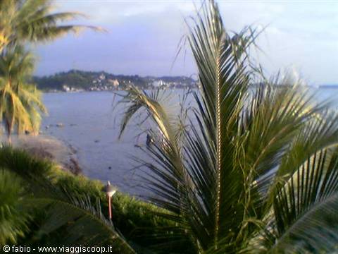 Palm frond in foreground overlooking bay with boats and coastal village