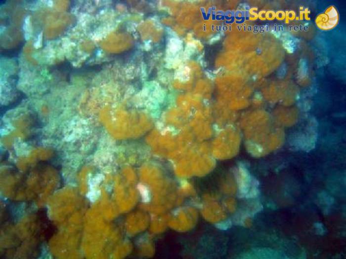 seabed