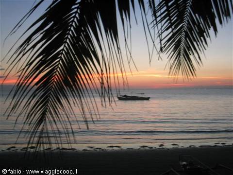 Silhouetted boat on calm sea framed by palm fronds, pink sky